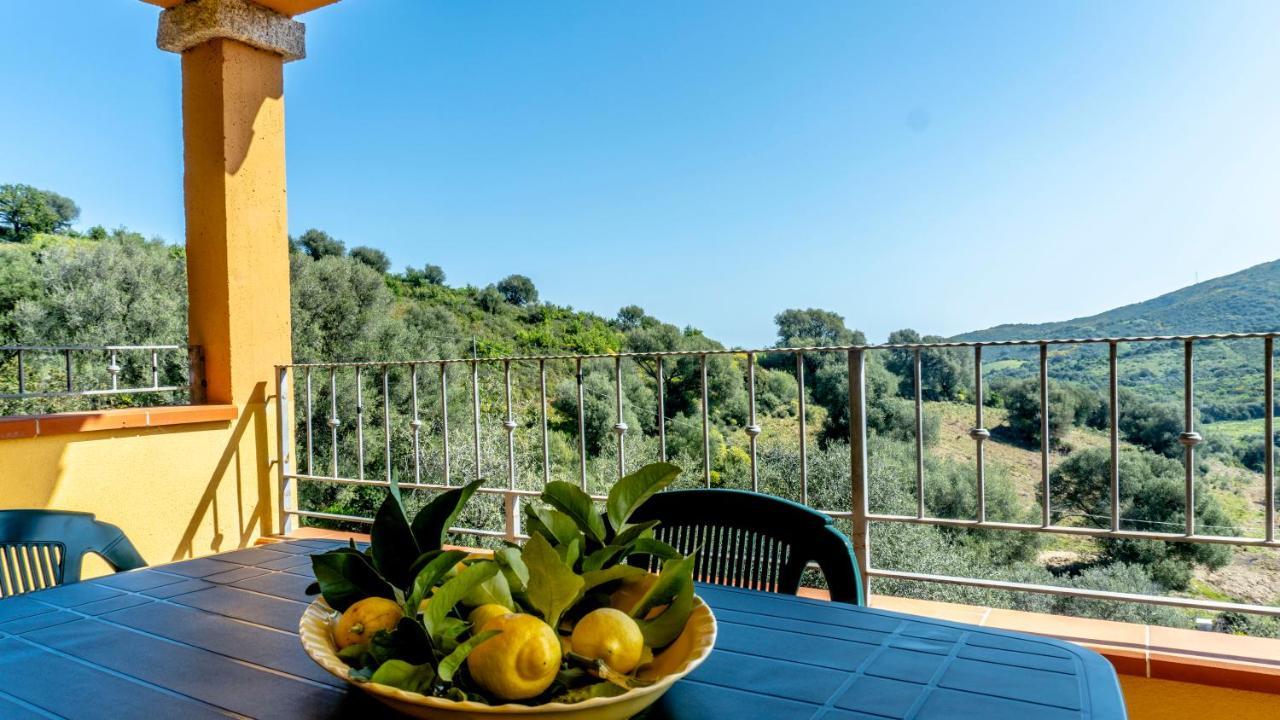 Appartamenti Dodi Lt - Pms Casevacanze Budoni Exterior foto
