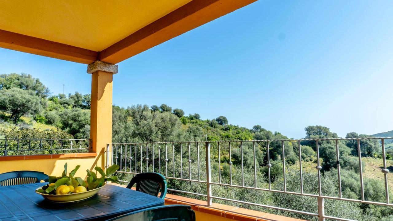 Appartamenti Dodi Lt - Pms Casevacanze Budoni Exterior foto